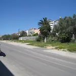 Amalia Ζαντάρ